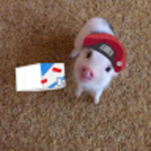 Meet your Posher, Fernanda